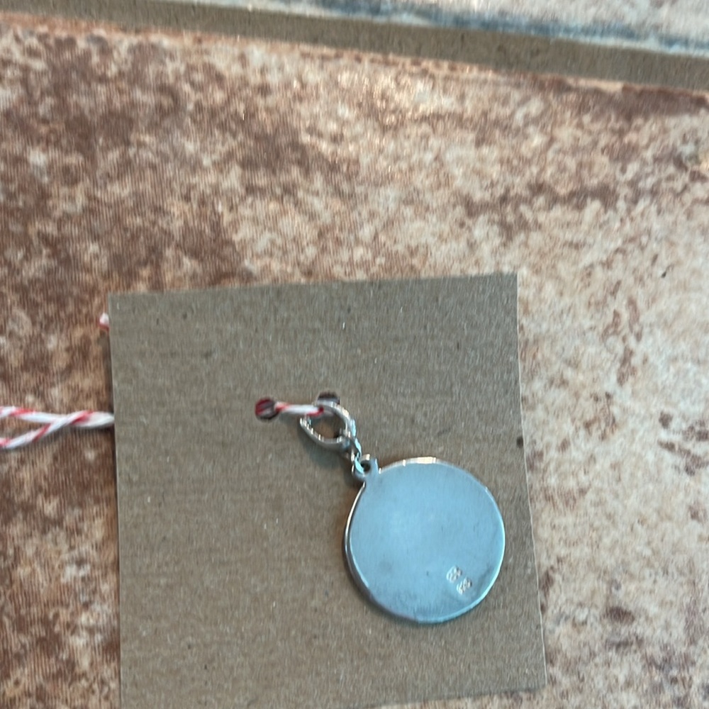 Silver Pendant - Capricorn - Picture 3 of 5